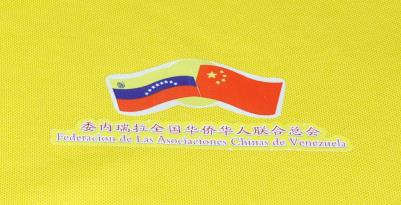 ί(ni)ȫ(gu)ASA(lin)Ͽ(hu)bϵС߶POLO